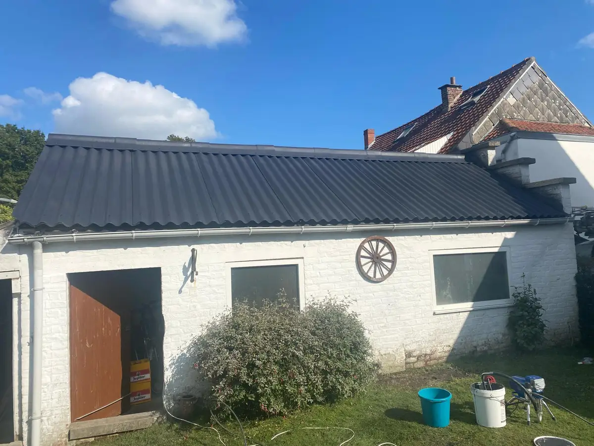 Toiture repeinte en anthracite après traitement